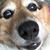 Staci Treiber's profile image