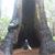 Debbie Samloff Ramirez's profile image