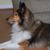 Marcia Barham's profile image