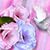 Donna Grant's profile image