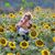 Melisse Latini's profile image