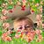 Brenda K. Young's profile image