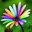 Jill Rahmlow's profile image
