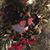Tammy Huggins's profile image