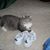 Jerri Schuh's profile image