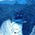 Francesca Cassata's profile image