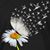 Debi Lonnie McComas's profile image