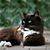 Linda Brannon's profile image