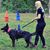 Alicia Collver's profile image