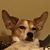 Lisa Rueve's profile image