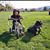 Rosalba Torres's profile image