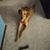 LeAnn Franklin Swanson's profile image