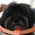 Bettejane Speno-Lugari's profile image