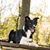 Bonny Henning's profile image