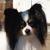 Jane Arnold Sirkoch's profile image