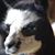 Kathy Laster's profile image