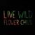 Sonia Leedy Wisecarver's profile image