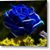 Cheryl Ann Spruiell's profile image