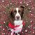 Penny Walter's profile image