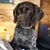 Maine OReilly's profile image