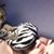Sam Raptis's profile image
