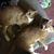 Joyce Noah Otto's profile image