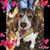 Denise Fleegel's profile image