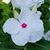 Ann Kurtz's profile image