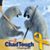 Michele MacBrien Stenson's profile image