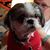 Sue Knowles Williamson's profile image