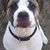 Libby Murphy Armshaw's profile image