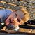 Mellissa Gates Dowdy's profile image