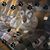 Linda Mossman's profile image
