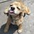 Susan Ives Roarabaugh's profile image