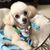 Tracy Levitt Huber's profile image