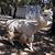 Laurel Parkhurst's profile image