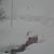 Lee Strabel's profile image