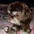 Judi Silvania's profile image
