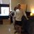 Jane Douglass Kukes's profile image