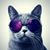 Elisa Martinez's profile image