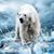 Nancy Brown's profile image