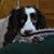 Tom Darrow's profile image