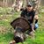 Brian Ramsey's profile image