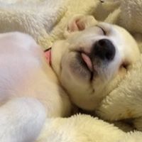 Jennifer Wright's profile image