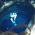 Evermont King's profile image