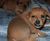 niki d.'s profile image