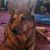 Ting Meunphalangchai's profile image