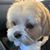 Yvonne Morin Mullen's profile image