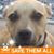 Judy Althouse's profile image