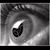 Rori Murray Travis's profile image